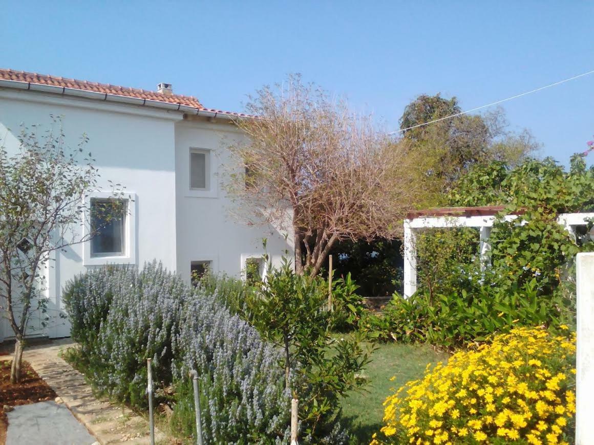 Apartments Lovor Silba Bagian luar foto
