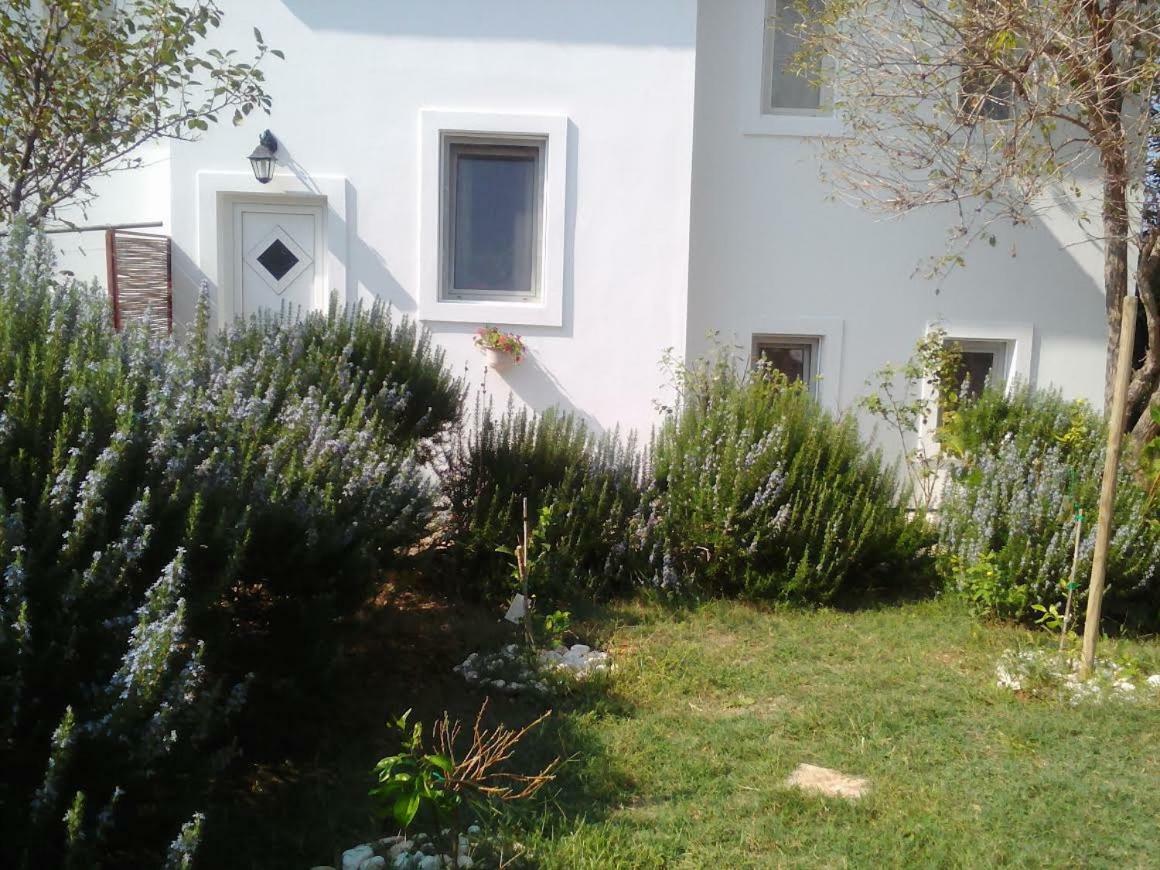 Apartments Lovor Silba Bagian luar foto