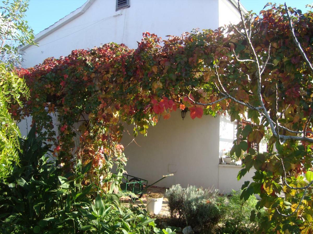 Apartments Lovor Silba Bagian luar foto