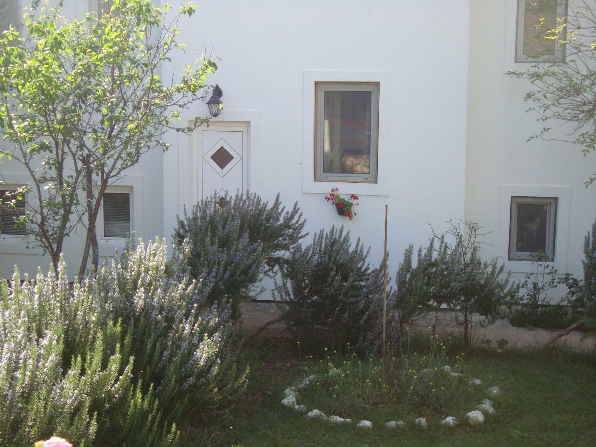 Apartments Lovor Silba Bagian luar foto