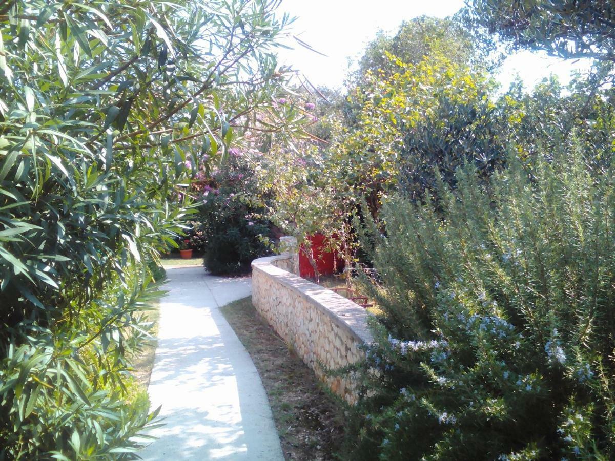 Apartments Lovor Silba Bagian luar foto