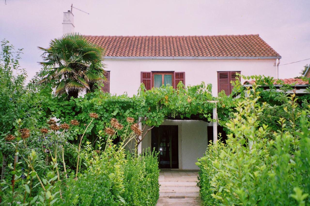 Apartments Lovor Silba Bagian luar foto